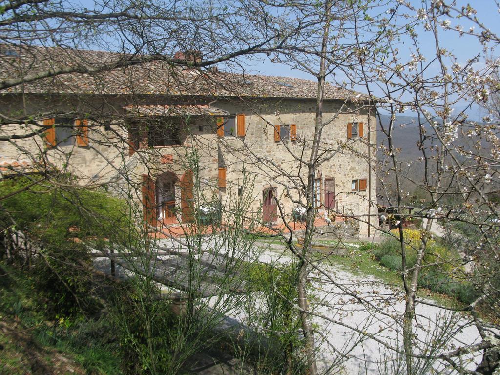 Lucolena in Chianti La Ghiandaia Casa Vacanza الغرفة الصورة