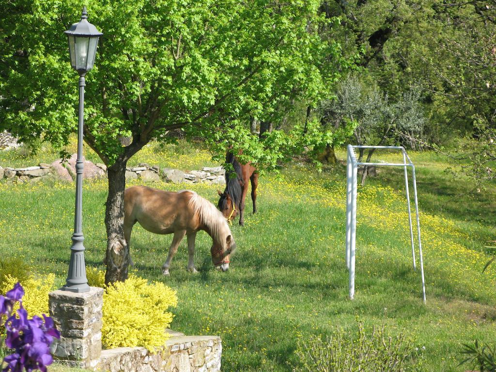 Lucolena in Chianti La Ghiandaia Casa Vacanza المظهر الخارجي الصورة