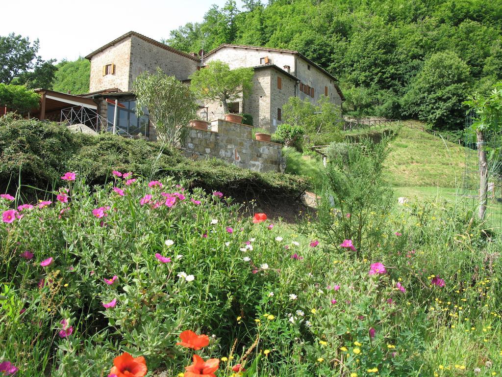 Lucolena in Chianti La Ghiandaia Casa Vacanza المظهر الخارجي الصورة