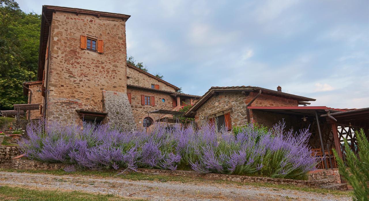 Lucolena in Chianti La Ghiandaia Casa Vacanza المظهر الخارجي الصورة
